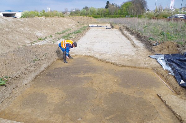 Die gerade freigelegte südliche Teilfläche, in der sich die archäologischen Befunde als dunkle Verfärbungen abzeichnen. - © Archäologie am Hellweg