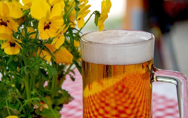 Durch die zahlreichen Plätze unter schattigen Laubbäumen entsteht auf dem ehemaligen Landesgartenschaugelände in Bad Oeynhausen eine Biergartenatmosphäre. - © Symbolbild: Pixabay