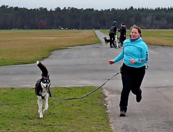 Elisabeth Behre ist mit ihrem Husky Lupita beim Workshop für Zughunde mit dabei. Bei Lupita sind die beiden verschiedenfarbigen Augen zu erkennen. - © Gunter Held