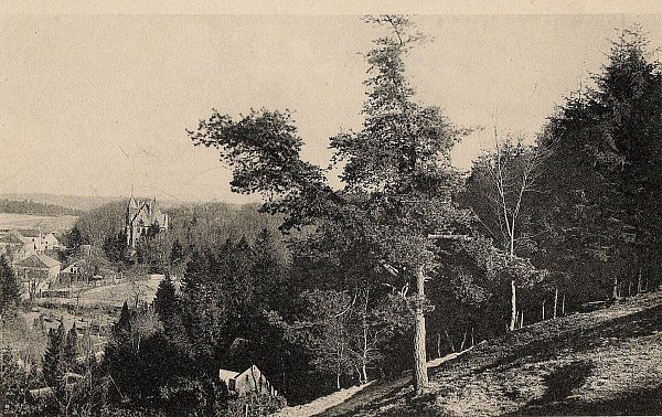 Der Philosophenweg am Nordhang des Tönsbergs. Im Hintergrund ist das repräsentative Haus der Fabrikantenfamilie Müller zu sehen, die sogenannte Müllerburg. - © Repros: Horst Biere/ Quelle: Stadtarchiv
