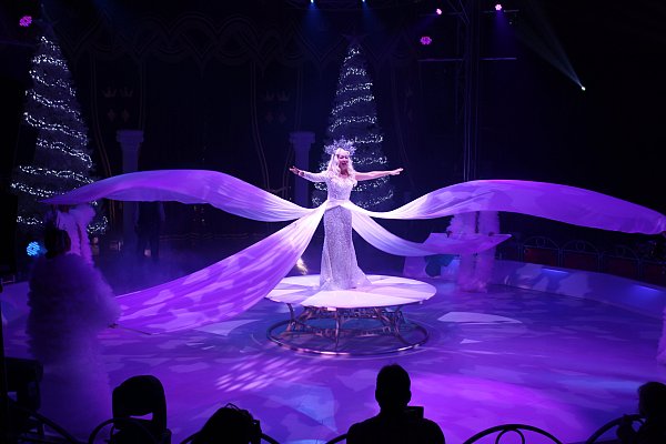 Die "Schneekönigin" präsentiert sich im Paderborner Weihnachtscircus. - © Moritz Jülich