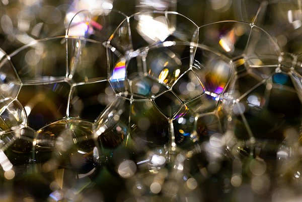 Eine Seifenlaugenmischung kann helfen, die Gewittertierchen loszuwerden. - © Symbolbild Unsplash