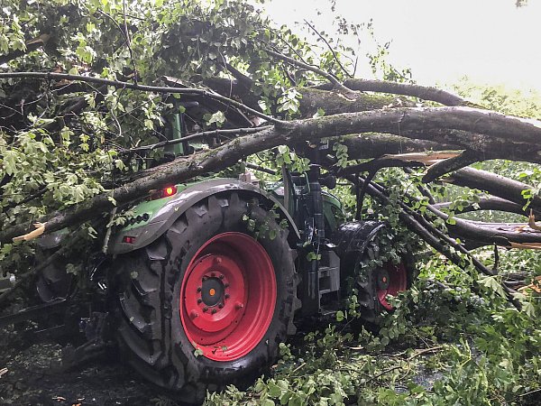 Ein dicker Baum stürzte am Niederrhein auf einen Traktor. Der Fahrer wurde leicht verletzt. - © picture alliance/dpa/Einsatzreporter Niederrhein