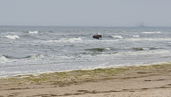 Der Elch konnte später aus eigener Kraft das Wasser verlassen. Er habe laut Tierschützern wohl nur ein kühles Bad in der Ostsee genommen. - © Mike Punger