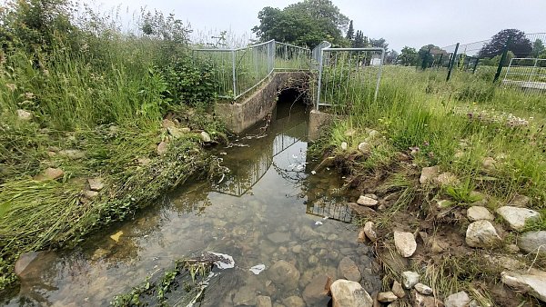 Aus dem Kanal fließt der Strangbach an der Dorfstraße wieder ins ursprüngliche Bachbett. - © Florian Weyand