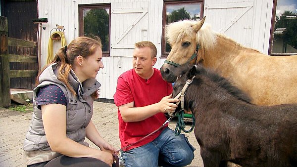 Pferdewirt Ulf (31) aus Schleswig-Holstein und Anna Lina (28, tiermedizinische Fachangestellte) kommen sich in der aktuellen Folge näher. Zwischen den beiden gibt es eine Aussprache. - © Foto: RTL