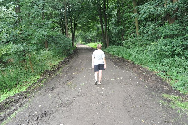 Der vom Bruchweg abzweigende Feldweg ist durch die Gemeinde Stemwede planiert, geschottert und, wie es aussieht, verbreitert worden, denn er reicht nun bis dicht an die angrenzenden Bäume heran. Das gefällt nicht jedem. - © Sonja Rohlfing
