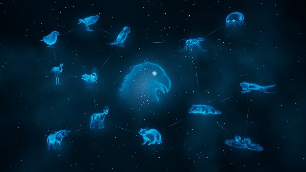 Mehr als 100 verschiedene Tiergeister lassen sich in "After us" einsammeln. Nach und nach erfahren wir immer mehr über die letzten ihrer Art. - © Piccolo/Private Division
