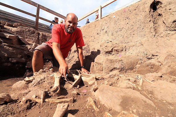 Höxters Stadtarchäologe Ralf Mahytka legt Rinderknochen im Keller eines 1265 verschütteten Hauses frei. - © David Schellenberg