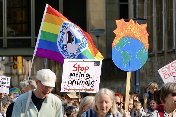 Arminia Bielefeld im Zeichen des Regenbogens. - © Peter Unger