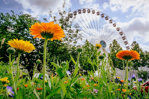 Eines der vielen Libori-Highlights: das 55 Meter hohe Riesenrad. - © BESIM MAZHIQI