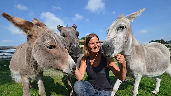 Die Tierschützerin, Tierrechtlern und Tierärztin Astrid Reinke und ihre Esel Benjamin, Lotta und Mira (v.l.), die auf dem Tierschutzhof in Varensell leben, auf einem Foto von 2015 - © Birgit Vredenburg
