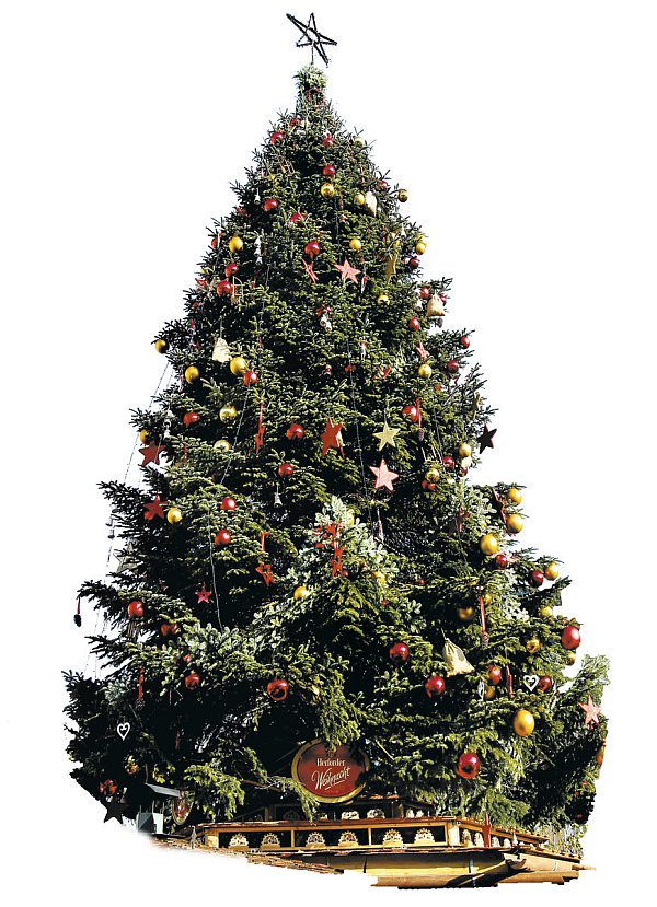 Am Samstag werden die Tannenbäume in Bünde und Kirchlengern abgeholt. - © Frank-Michael Kiel-Steinkamp