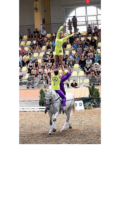 voltigiermannschaft Akrobatik auf dem Pferderücken | nw.de