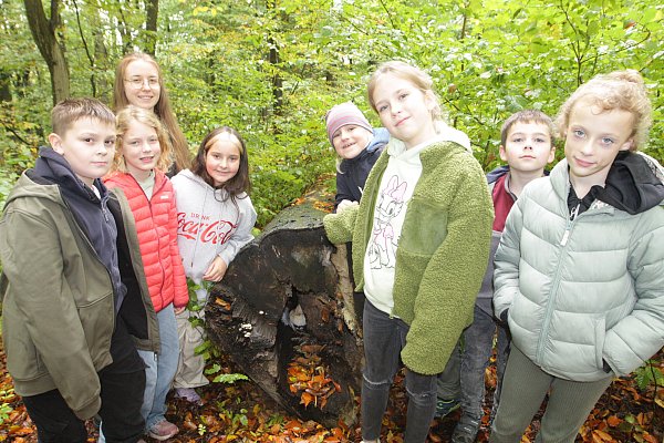 Diese sechs Schülerinnen und Schüler aus der Grundschule Altenautal haben zusammen mit Förster Stefan Befeld den Baumstumpf und den Pilz darin entdeckt. Auch Maresa Warnecke (3., v. l.), Klassenlehrerin der 4a, war mit dabei. - © Uwe Müller