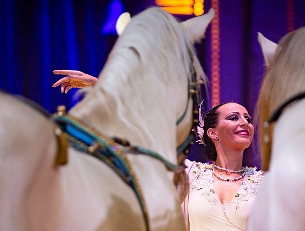 Die Zirkus-Chefin Jana Mandana Lacey-Krone mit ihren Pferden. - © Mike-Dennis Müller