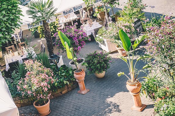 Im Biergarten des Appelkrug bestimmen mediterrane Pflanzen das Ambiente. - © Appelkrug