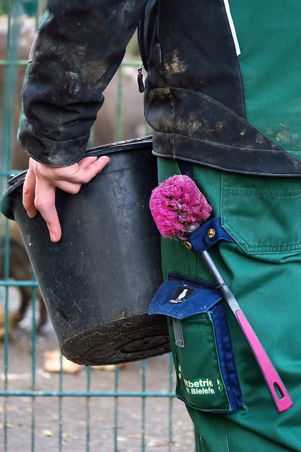 Pink: So sieht des Tierpflegers Ausrüstung aus. - © Kurt Ehmke