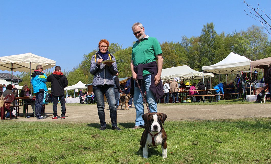 Tag der offenen Tür im Tierheim nw.de Tag der offenen Tür im Tierheim nw.de