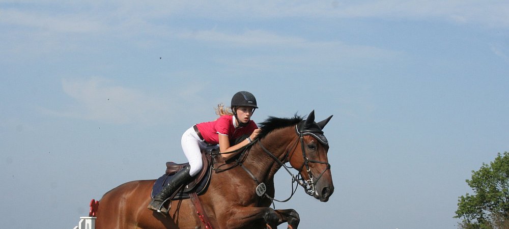 Gutes Wochenende: Ann Katrin Dettmer wurde auf Chicago Zweite im Finale des Barre-Stilpokals und gewann ein weiteres M-Springen. - © Sonja Rohlfing