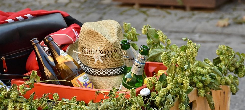 Mit dem Bollerwagen losziehen, das ist keine gute Idee (Symbolbild). - © Pixabay