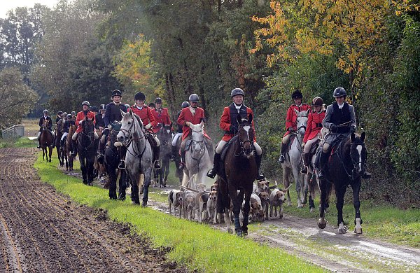 Die Schleppjagd des RV Herzebrock-Rheda führt die Teilnehmer durch Feld und Flur der Bauerschaften entlang der Ems. - © Marcus Schumacher