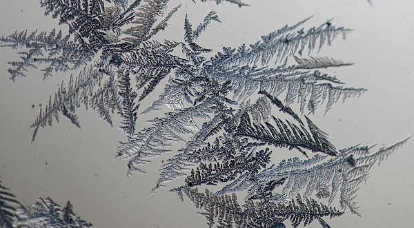 Kratzer, Staub und Rillen im Glas dienen als Startpunkt für das Wachstum der Eisblumen. (Archivbild) - © Patrick Seeger/dpa