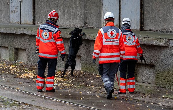 Dabei sind mehrere Rettungshundestaffeln im Einsatz. - © Stefan Sauer/dpa