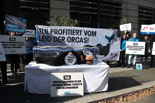 «Es gibt keine artgerechte Haltung für Tiere wie Orca-Wale in Gefangenschaft», sagt Sarah Connor. - © Paul Zinken/dpa