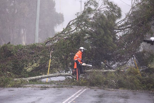Umgestürzte Bäume und Strommasten: Tausende Anwohner sind bereits ohne Strom. - © Jason O\\\'brien/AAP/dpa