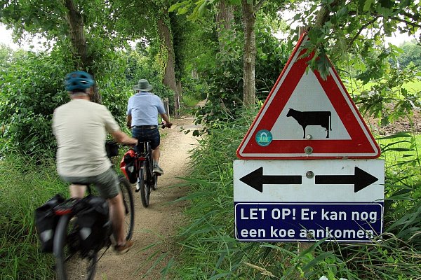 Radtouristen sind hier besser vorsichtig: Ku?he ko?nnten den Weg kreuzen, mahnt das Schild. - © Bernd F. Meier/dpa-tmn