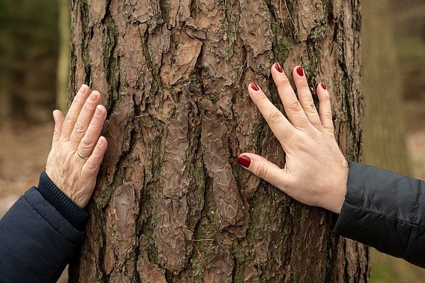 Einfach mal anfassen und berühren: So verbindet man sich mit der Natur. - © Karsten Klama/dpa/dpa-tmn