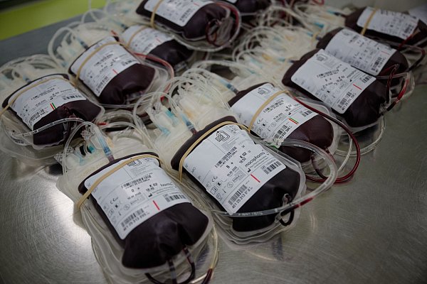 Rund drei Millionen Menschen haben 2024 in Deutschland Blut gespendet, im Schnitt jeweils rund zweimal. - © Henning Kaiser/dpa