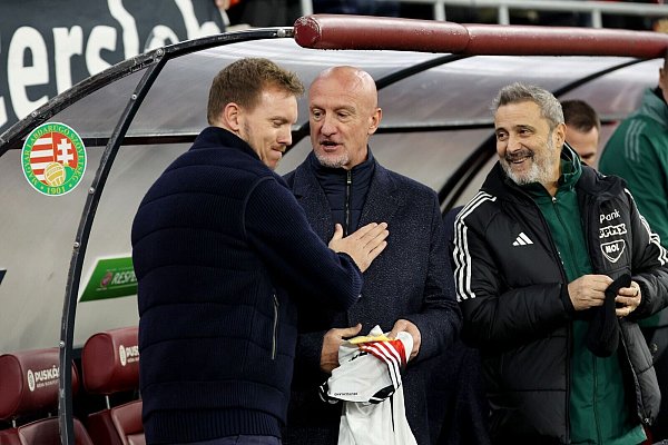 Nagelsmann (l.) kennt Adam Szalai gut aus gemeinsamen Zeiten in Hoffenheim. - © Christian Charisius/dpa