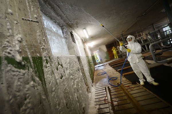 Das Virus ist schwer zu bekämpfen. (Symbolbild) - © picture alliance / dpa