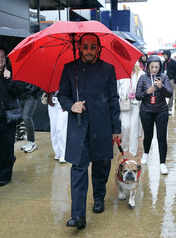 Lewis Hamilton nahm die Bulldogge öfter mal mit an die Rennstrecke. (Archivbild) - © Andrew Matthews/PA Wire/dpa