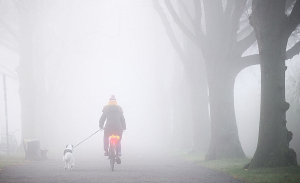 Der Montag startet oftmals bewölkt oder neblig trüb - aber vielerorts ist in den nächsten Tagen Besserung in Sicht. - © Julian Stratenschulte/dpa