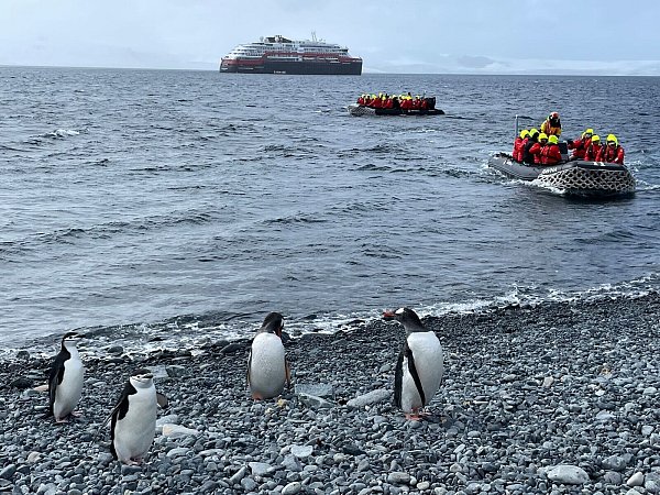 Sind die Pinguine wegen der vielen Besucher gestresst? Da gehen die Meinungen auseinander. - © Anne Hardy/dpa