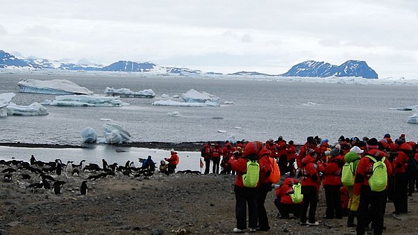 Wie nah ist zu nah? Das fragen sich Experten, wenn es um die Pinguin-Kolonien in der Antarktis und die Touristen geht. - © Ricardo Roura/dpa