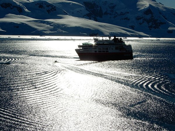 Mittlerweile reisen Schiffe für alle Interessen und Neigungen ins Südpolarmeer. - © Ricardo Roura/dpa