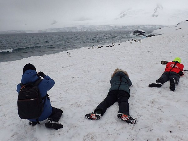 Pinguine so hautnah vor die Linse zu bekommen, reizt die meisten Touristen. - © Ricardo Roura/dpa