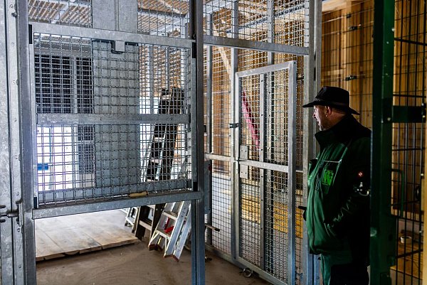 So sah der Quarantäne- und Versorgungsbereich des Alternativen Wolf- und Bärenparks Schwarzwald während der Bauarbeiten aus. (Archivbild) - © Philipp von Ditfurth/dpa