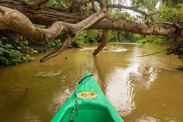Im idyllischen Dreiländer-Naturpark Raab kann man vom Rad ins Kanu wechseln. - © Andreas Drouve/dpa-tmn