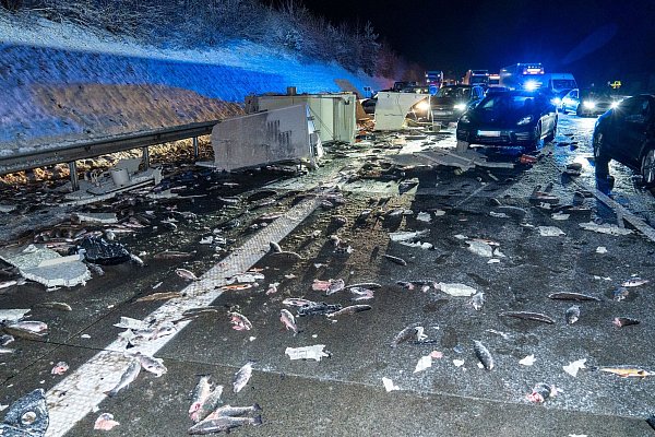 Die Forellen wurden bei dem Unfall über die Fahrbahn verteilt. - © JOTO/dpa