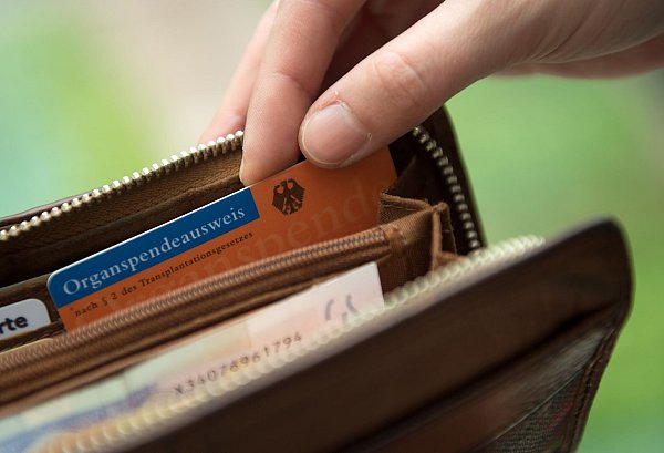 Regeln Patientenverfügung oder Vorsorgevollmacht, ob und welche Organe Verstorbene spenden wollen, braucht es den Organspendeausweis nicht unbedingt. - © picture alliance / Andrea Warnecke/dpa-tmn