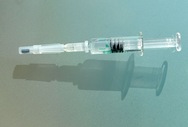 Gegen FSME-Viren kann geimpft werden, gegen Lyme-Borrelien noch nicht. (Archivbild) - © picture alliance / dpa