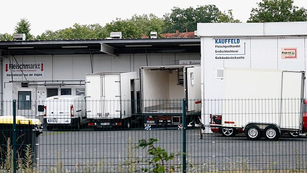 Zwei Tierärztinnen stehen im Zusammenhang mit dem Skandal um den Schlachthof Aschaffenburg vor Gericht. - © Heiko Becker/dpa