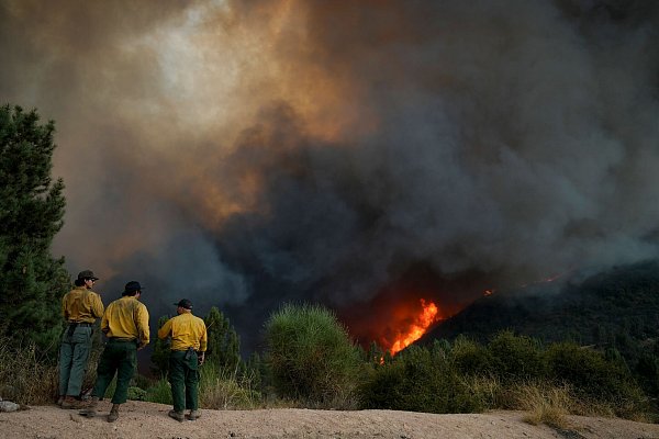 Hunderte Feuerwehrleute sind im Einsatz. - © Eric Thayer/AP/dpa