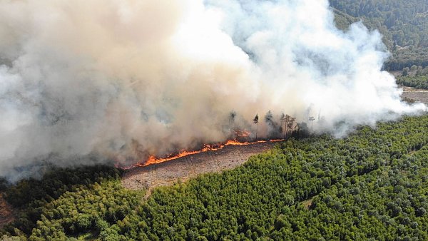 Der weltweite Verlust durch Waldbrände lag mit 11,9 Millionen Hektar 2023 ebenfalls auf Rekordniveau. (Archivbild) - © Michael Kling/Märkischer Kreis/dpa