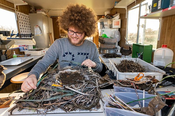 Auke-Florian Hiemstra untersucht Vogelnester wissenschaftlich und macht dabei erstaunliche Entdeckungen. - © Hielco Kuipers/Fotoprodukties Leiden/dpa